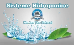 Sisteme Hidroponice